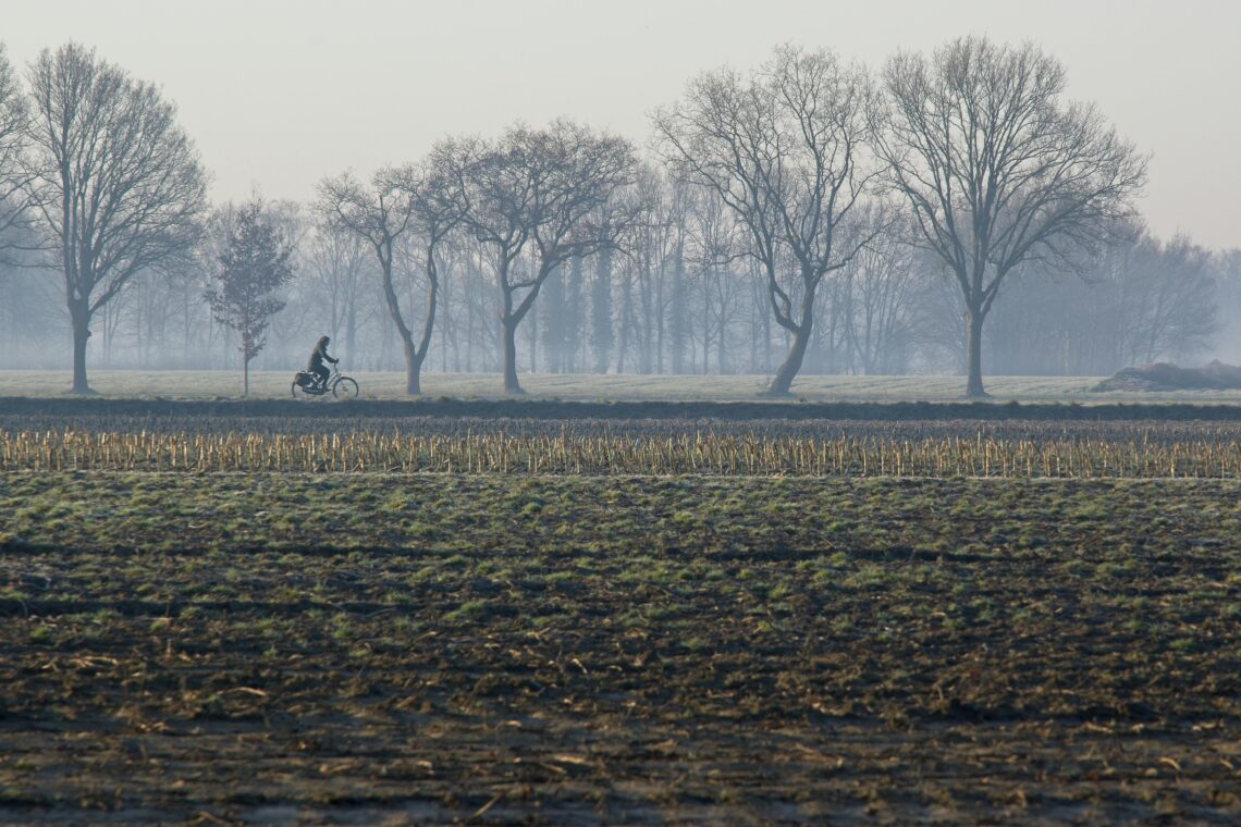 A lone cyclist rides through the serene countryside of Assen, Drenthe, on a misty morning.