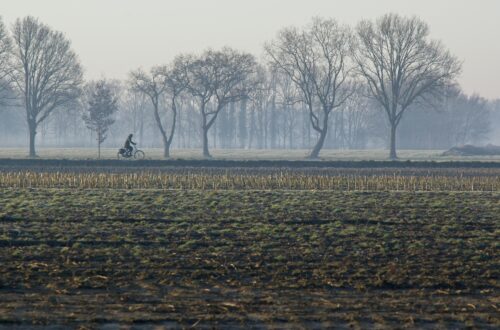 A lone cyclist rides through the serene countryside of Assen, Drenthe, on a misty morning.