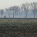 A lone cyclist rides through the serene countryside of Assen, Drenthe, on a misty morning.